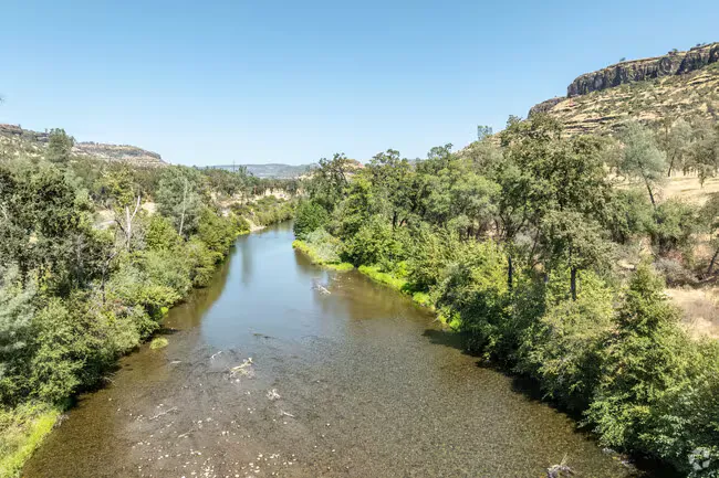 Butte Creek flowing between wooded banks